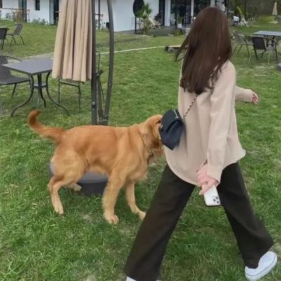 头号公敌大出击